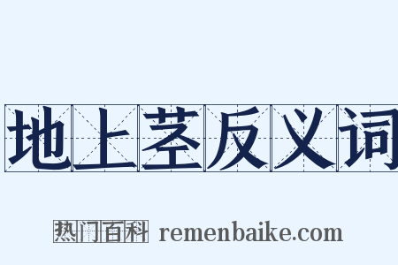 地上茎反义词是什么意思的图片